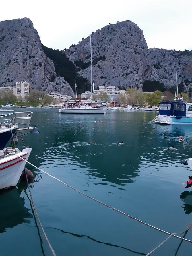 Bugenvilija Duće Exteriér fotografie